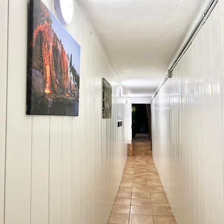 Cozy Suite Apartment, Wifi! Santa Coloma de Gramanet Kültér fotó